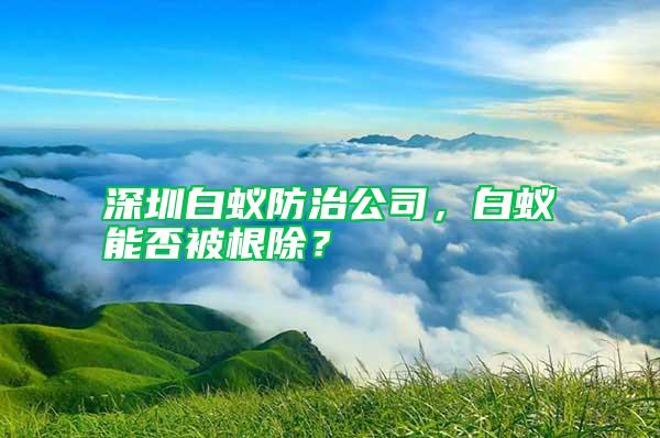 深圳白蟻防治公司，白蟻能否被根除？