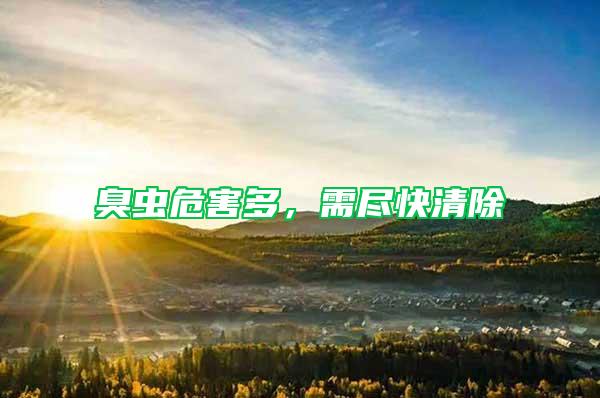 臭蟲危害多，需盡快清除