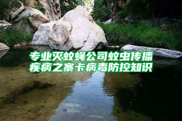 專業(yè)滅蚊蠅公司蚊蟲傳播疾病之寨卡病毒防控知識