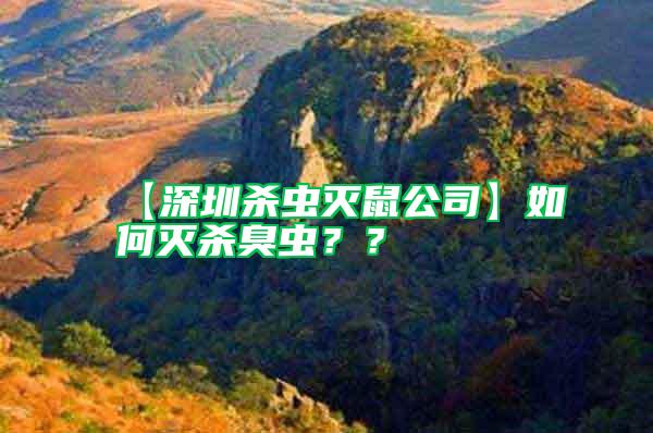 【深圳殺蟲滅鼠公司】如何滅殺臭蟲？？