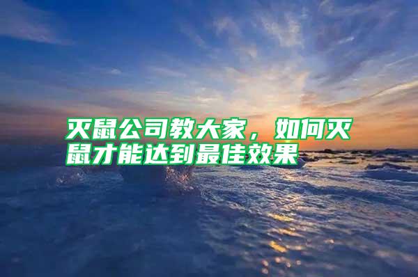 滅鼠公司教大家，如何滅鼠才能達(dá)到最佳效果