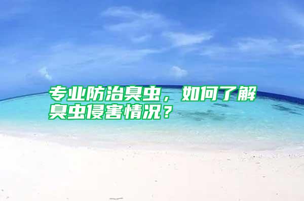 專業(yè)防治臭蟲，如何了解臭蟲侵害情況？