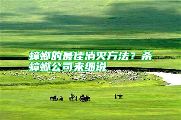 蟑螂的最佳消滅方法？殺蟑螂公司來細說