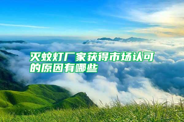 滅蚊燈廠(chǎng)家獲得市場(chǎng)認(rèn)可的原因有哪些