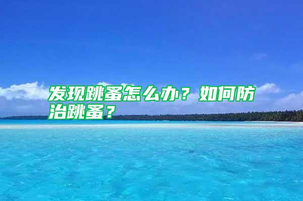 發(fā)現(xiàn)跳蚤怎么辦？如何防治跳蚤？