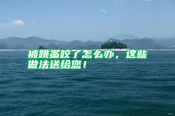 被跳蚤咬了怎么辦，這些做法送給您！