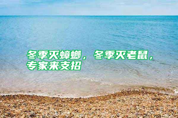 冬季滅蟑螂，冬季滅老鼠，專家來(lái)支招