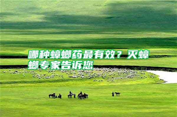 哪種蟑螂藥最有效？滅蟑螂專家告訴您