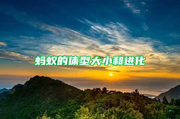 螞蟻的體型大小和進(jìn)化