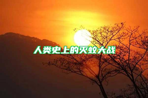 人類(lèi)史上的滅蚊大戰(zhàn)