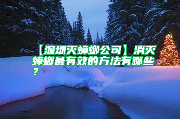 【深圳滅蟑螂公司】消滅蟑螂最有效的方法有哪些？