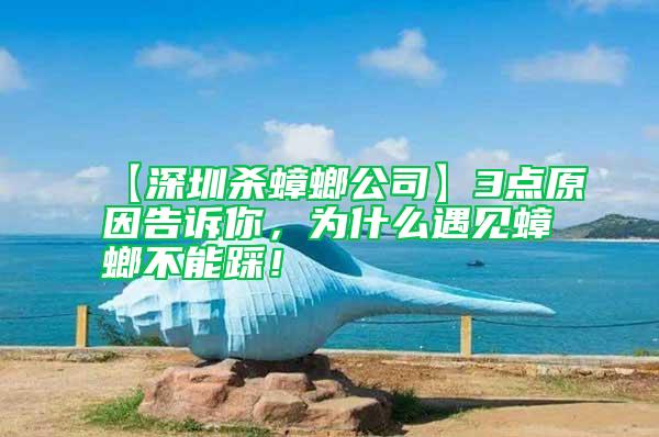 【深圳殺蟑螂公司】3點(diǎn)原因告訴你，為什么遇見蟑螂不能踩！