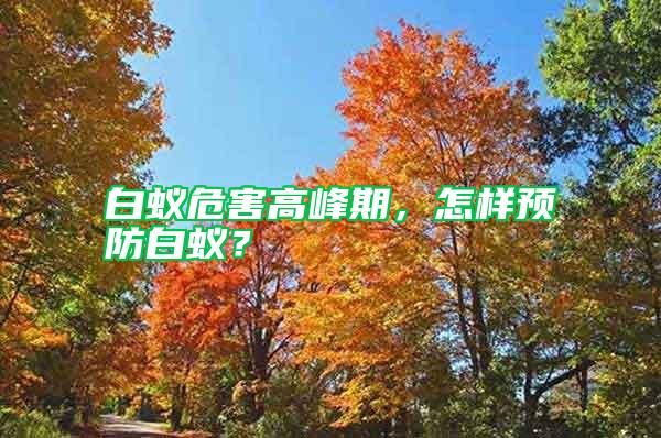 白蟻危害高峰期，怎樣預(yù)防白蟻？