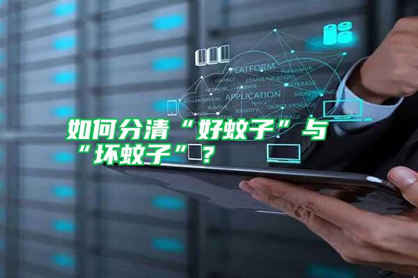 如何分清“好蚊子”與“壞蚊子”？