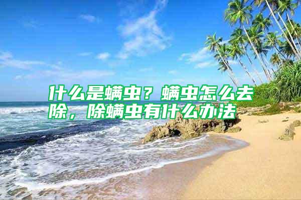 什么是螨蟲？螨蟲怎么去除，除螨蟲有什么辦法