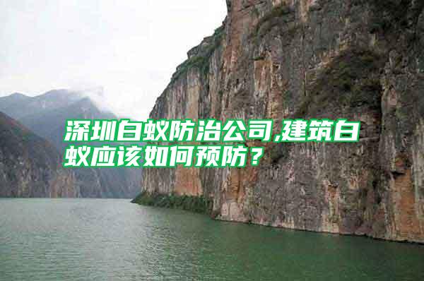 深圳白蟻防治公司,建筑白蟻應(yīng)該如何預(yù)防？