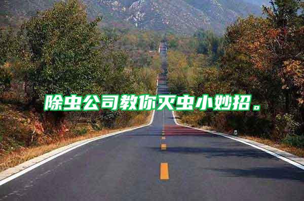 除蟲公司教你滅蟲小妙招。
