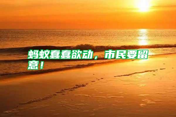 螞蟻蠢蠢欲動，市民要留意！