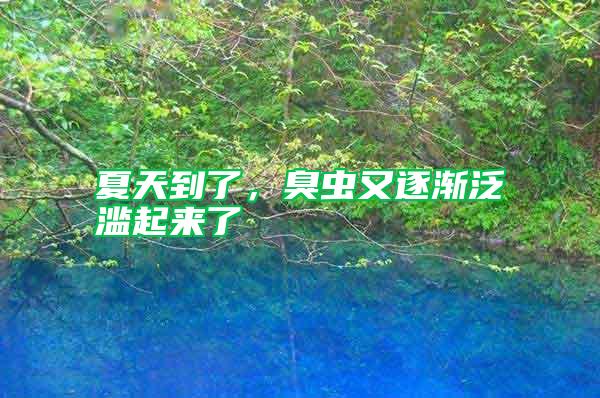夏天到了，臭蟲(chóng)又逐漸泛濫起來(lái)了