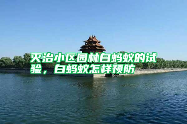 滅治小區(qū)園林白螞蟻的試驗，白螞蟻怎樣預防