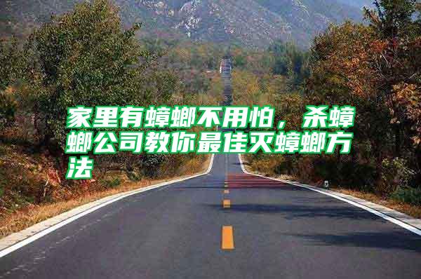 家里有蟑螂不用怕，殺蟑螂公司教你最佳滅蟑螂方法