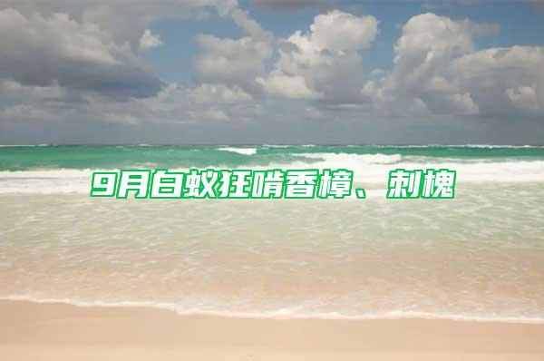 9月白蟻狂啃香樟、刺槐