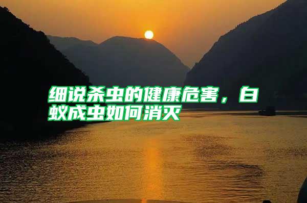 細(xì)說殺蟲的健康危害，白蟻成蟲如何消滅