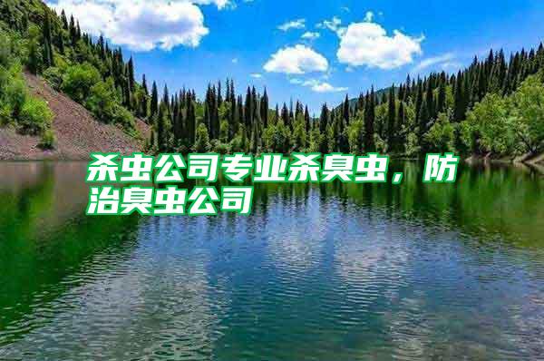 殺蟲(chóng)公司專業(yè)殺臭蟲(chóng)，防治臭蟲(chóng)公司