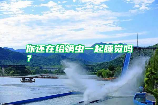 你還在給螨蟲一起睡覺嗎？