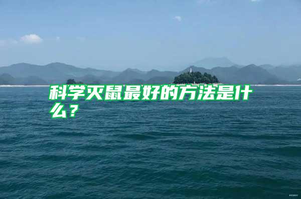 科學滅鼠最好的方法是什么？