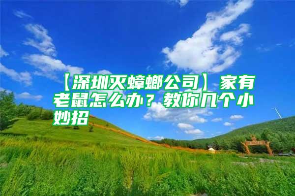 【深圳滅蟑螂公司】家有老鼠怎么辦？教你幾個(gè)小妙招