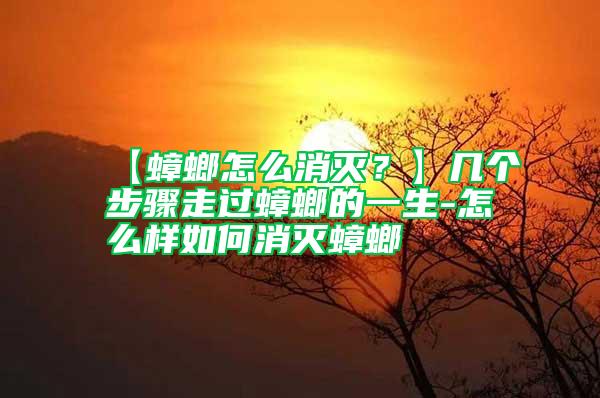 【蟑螂怎么消滅？】幾個步驟走過蟑螂的一生-怎么樣如何消滅蟑螂