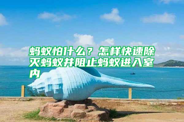 螞蟻怕什么？怎樣快速除滅螞蟻并阻止螞蟻進入室內(nèi)