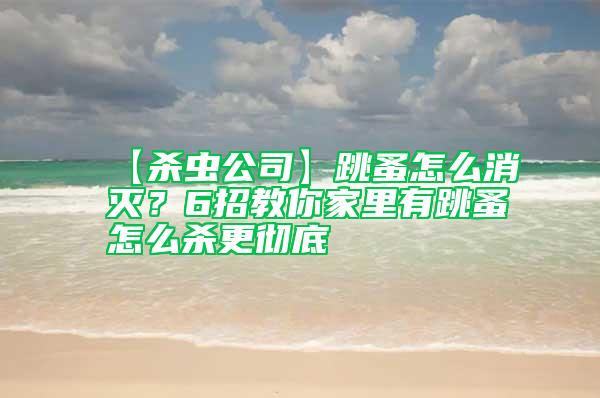 【殺蟲公司】跳蚤怎么消滅？6招教你家里有跳蚤怎么殺更徹底