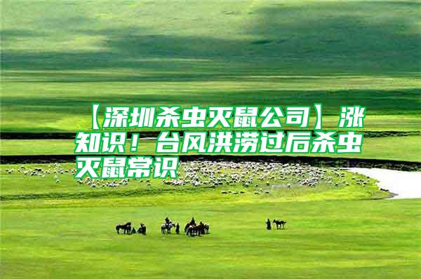 【深圳殺蟲滅鼠公司】漲知識！臺風(fēng)洪澇過后殺蟲滅鼠常識
