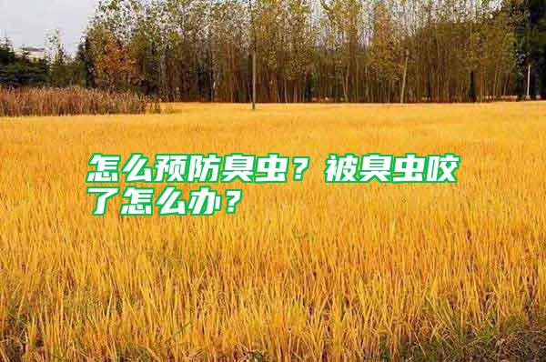 怎么預(yù)防臭蟲？被臭蟲咬了怎么辦？