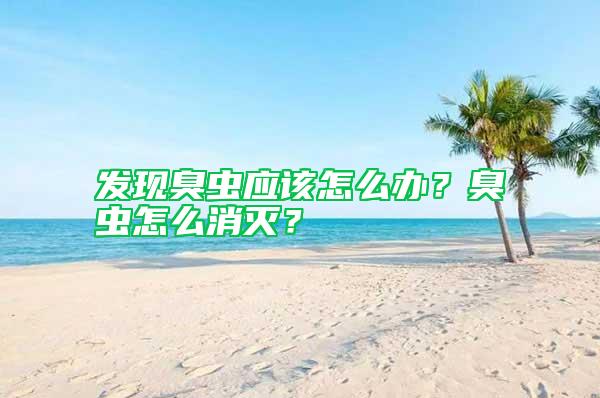 發(fā)現(xiàn)臭蟲(chóng)應(yīng)該怎么辦？臭蟲(chóng)怎么消滅？