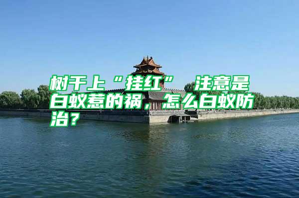 樹干上“掛紅” 注意是白蟻惹的禍，怎么白蟻防治？