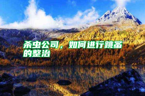 殺蟲公司，如何進(jìn)行跳蚤的整治
