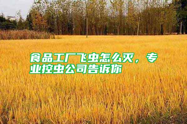 食品工廠飛蟲怎么滅，專業(yè)控蟲公司告訴你