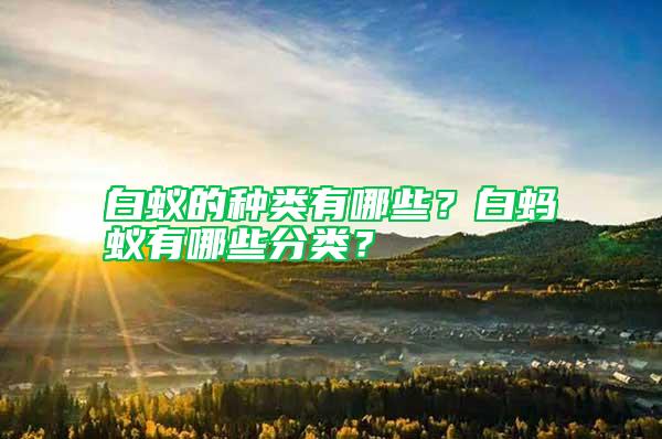 白蟻的種類有哪些？白螞蟻有哪些分類？