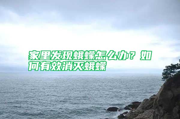 家里發(fā)現(xiàn)蛾蠓怎么辦？如何有效消滅蛾蠓