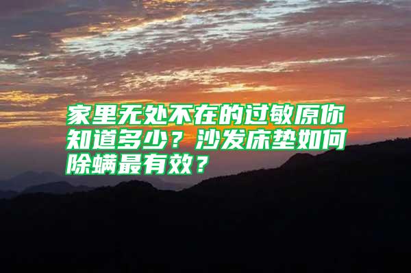 家里無處不在的過敏原你知道多少？沙發(fā)床墊如何除螨最有效？