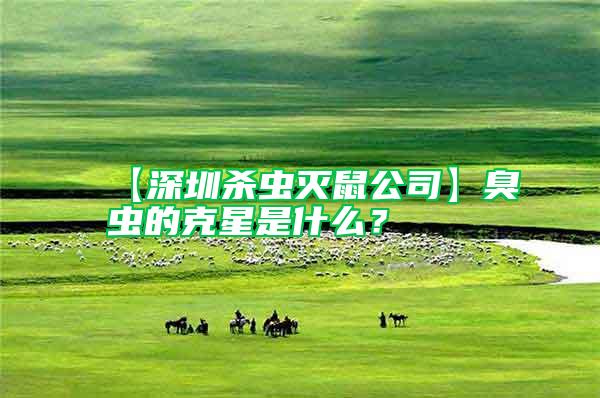【深圳殺蟲(chóng)滅鼠公司】臭蟲(chóng)的克星是什么？