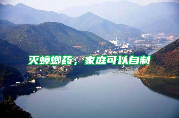 滅蟑螂藥，家庭可以自制