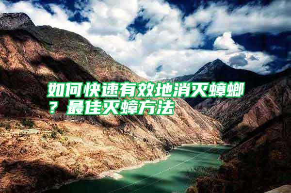如何快速有效地消滅蟑螂？最佳滅蟑方法