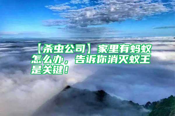 【殺蟲(chóng)公司】家里有螞蟻怎么辦，告訴你消滅蟻王是關(guān)鍵！