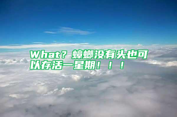 What?蟑螂沒有頭也可以存活一星期?。?!