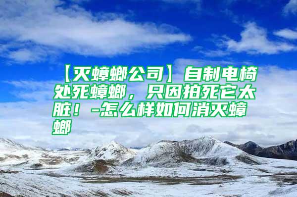 【滅蟑螂公司】自制電椅處死蟑螂，只因拍死它太臟！-怎么樣如何消滅蟑螂