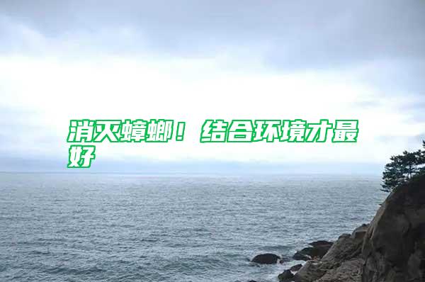 消滅蟑螂！結(jié)合環(huán)境才最好